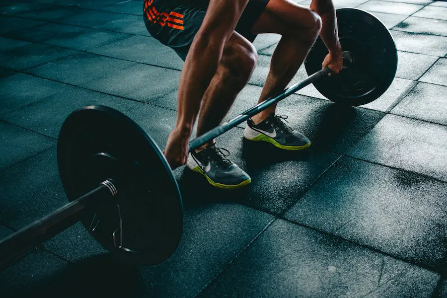 Palestra e Fitness – immagine categoria