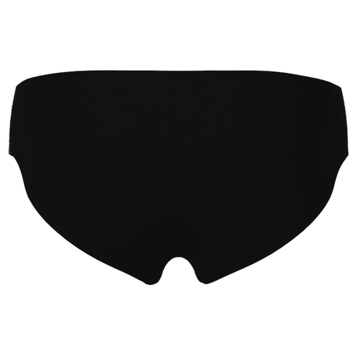 ARENA SWIM BRIEFS GRAPHIC