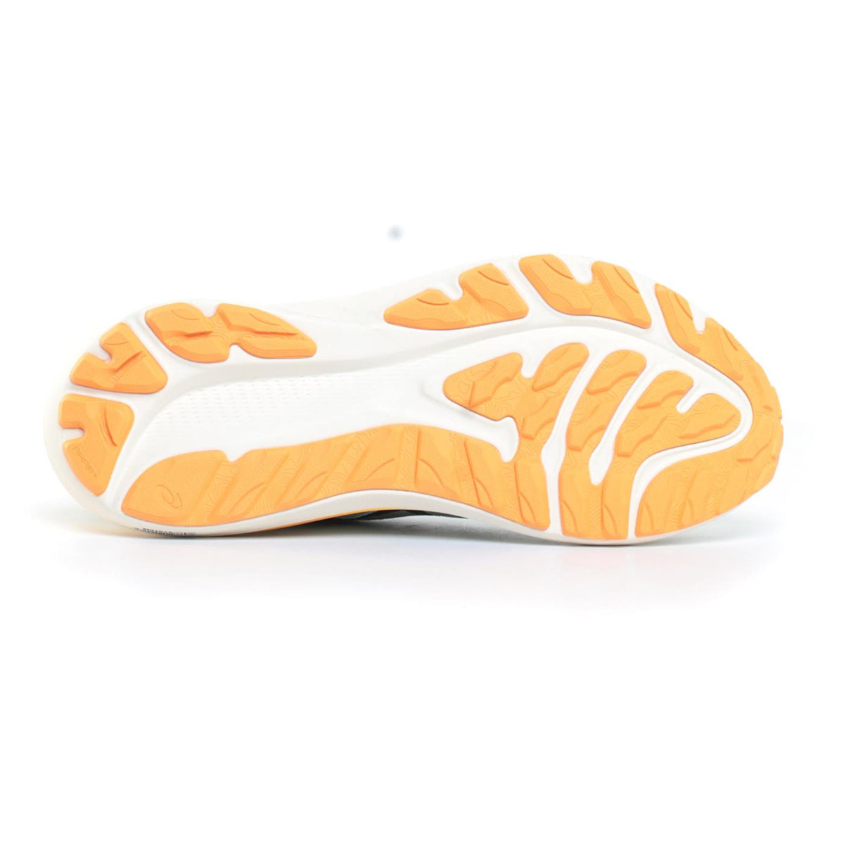 ASICS GT-2000 12 TR
