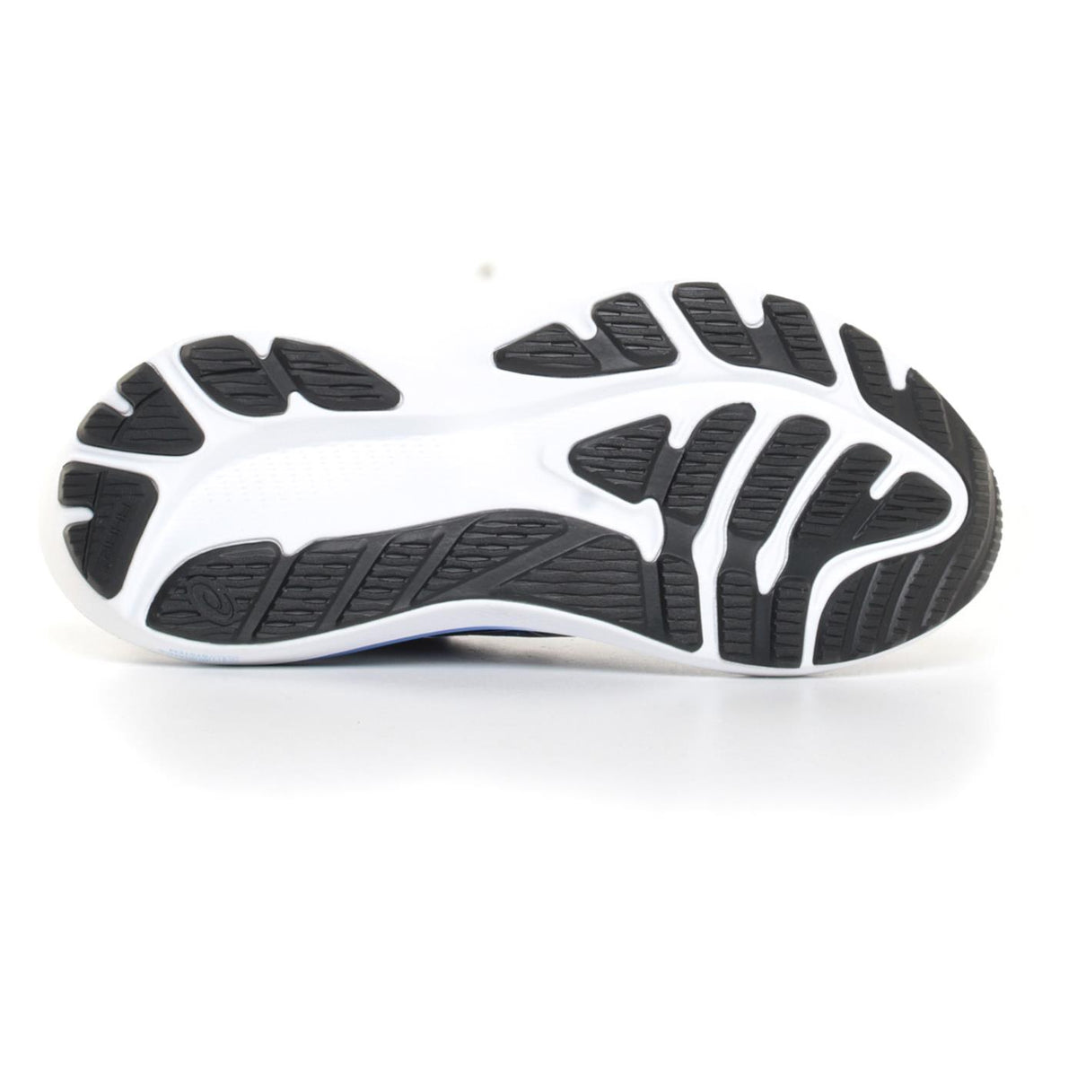 ASICS GT-2000 12 WOMAN