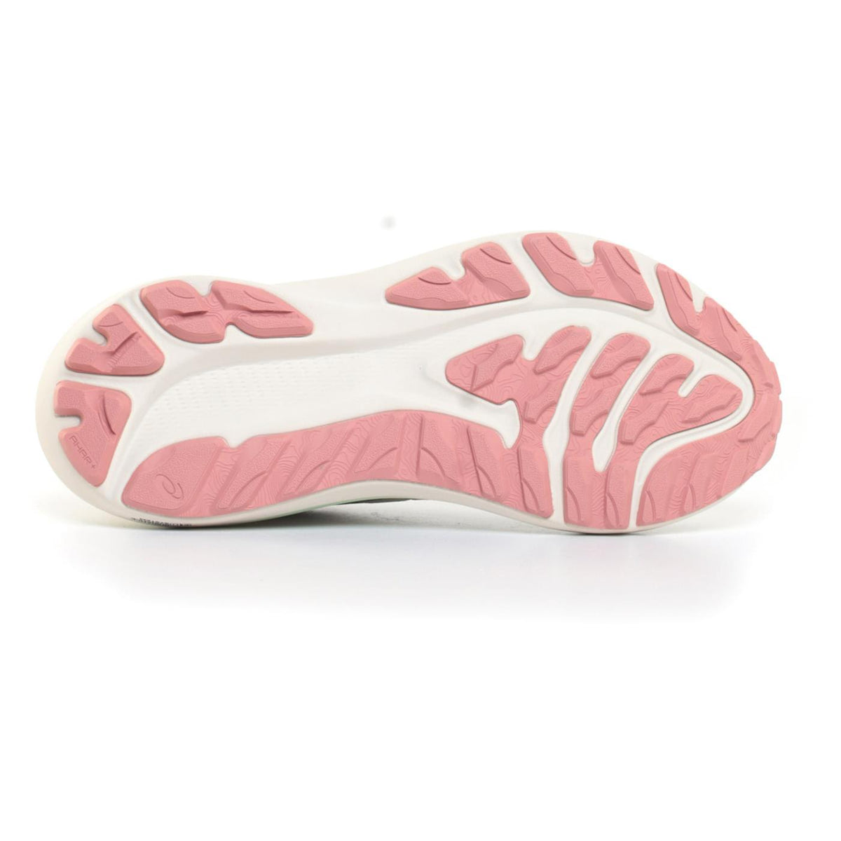 ASICS GT-2000 12 TR WOMAN