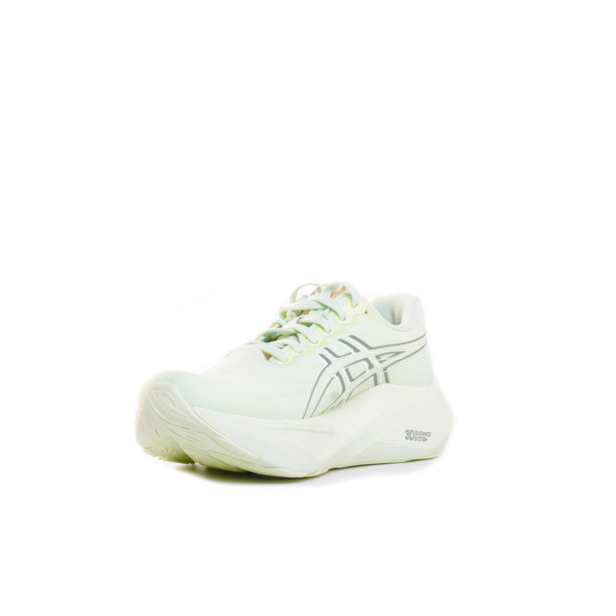 ASICS GT-2000 14 WOMAN