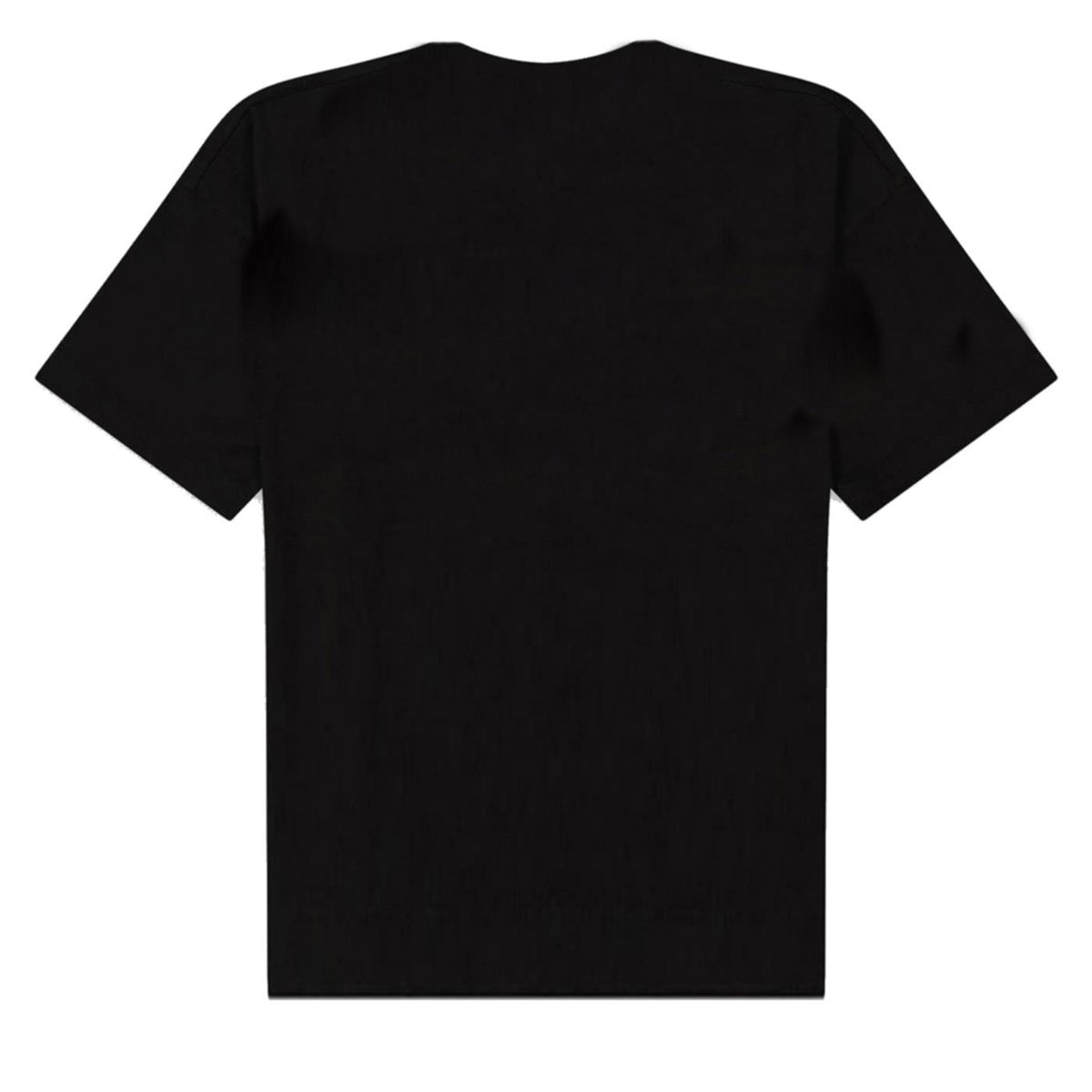 CHAMPION WOMAN CREWNECK T-SHIRT