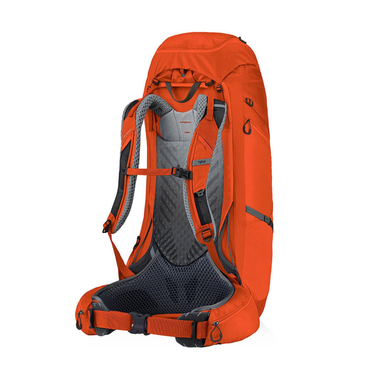 GREGORY PARAGON 48 MD-LG