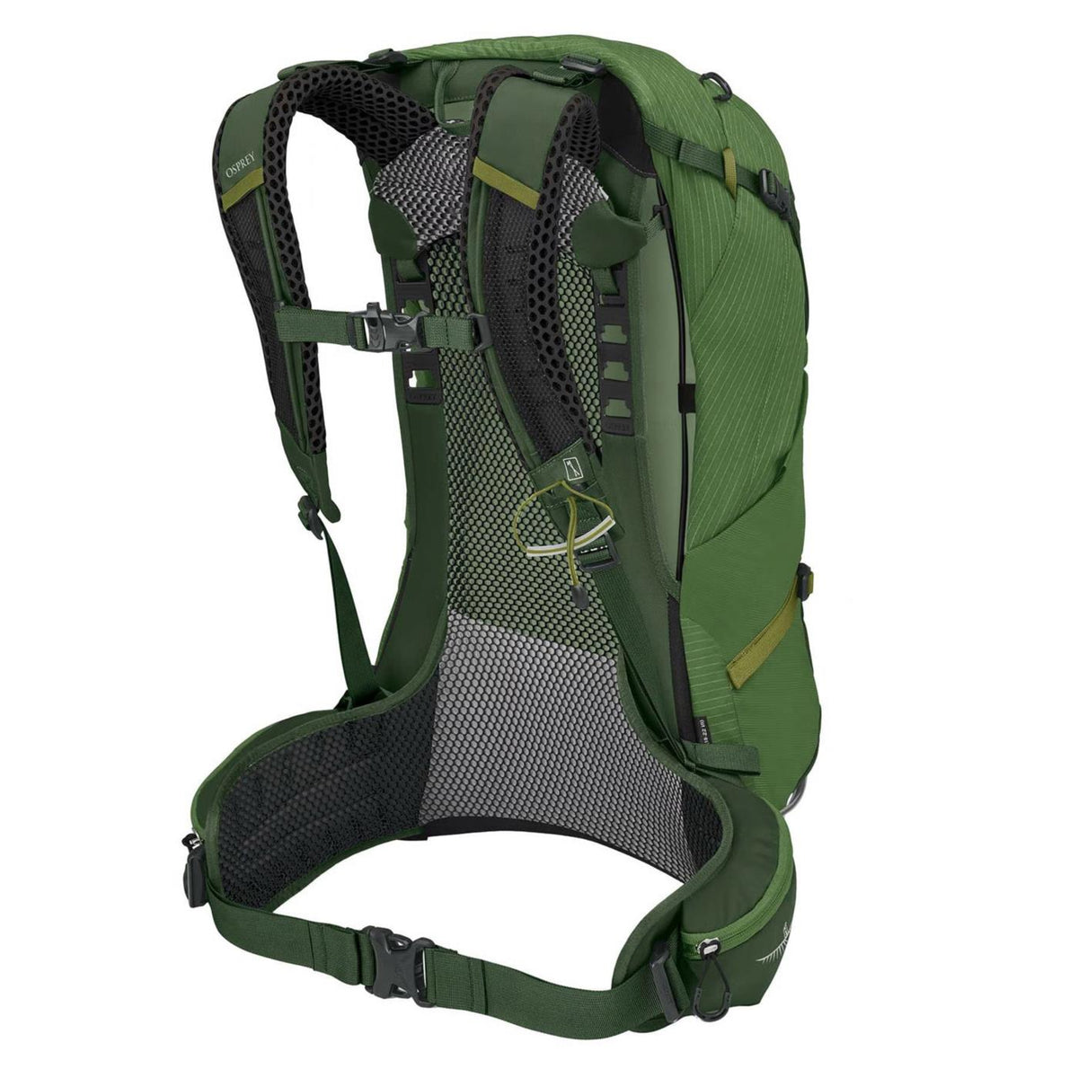 OSPREY STRATOS 24