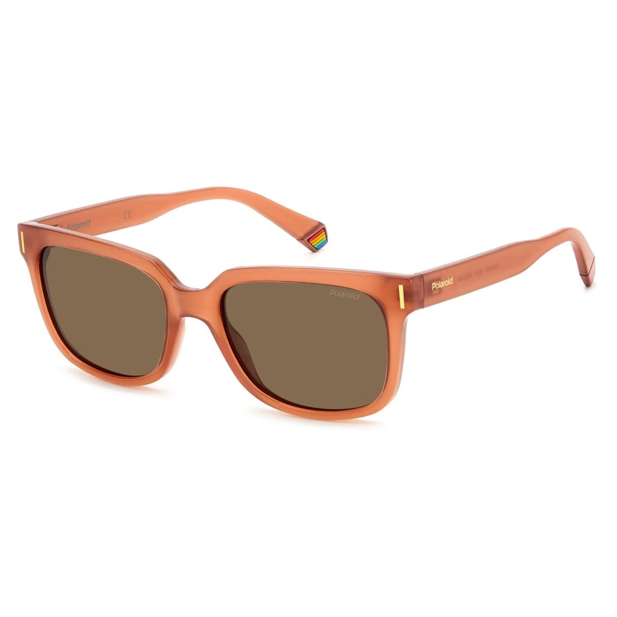 POLAROID GLASSES PLD 6191