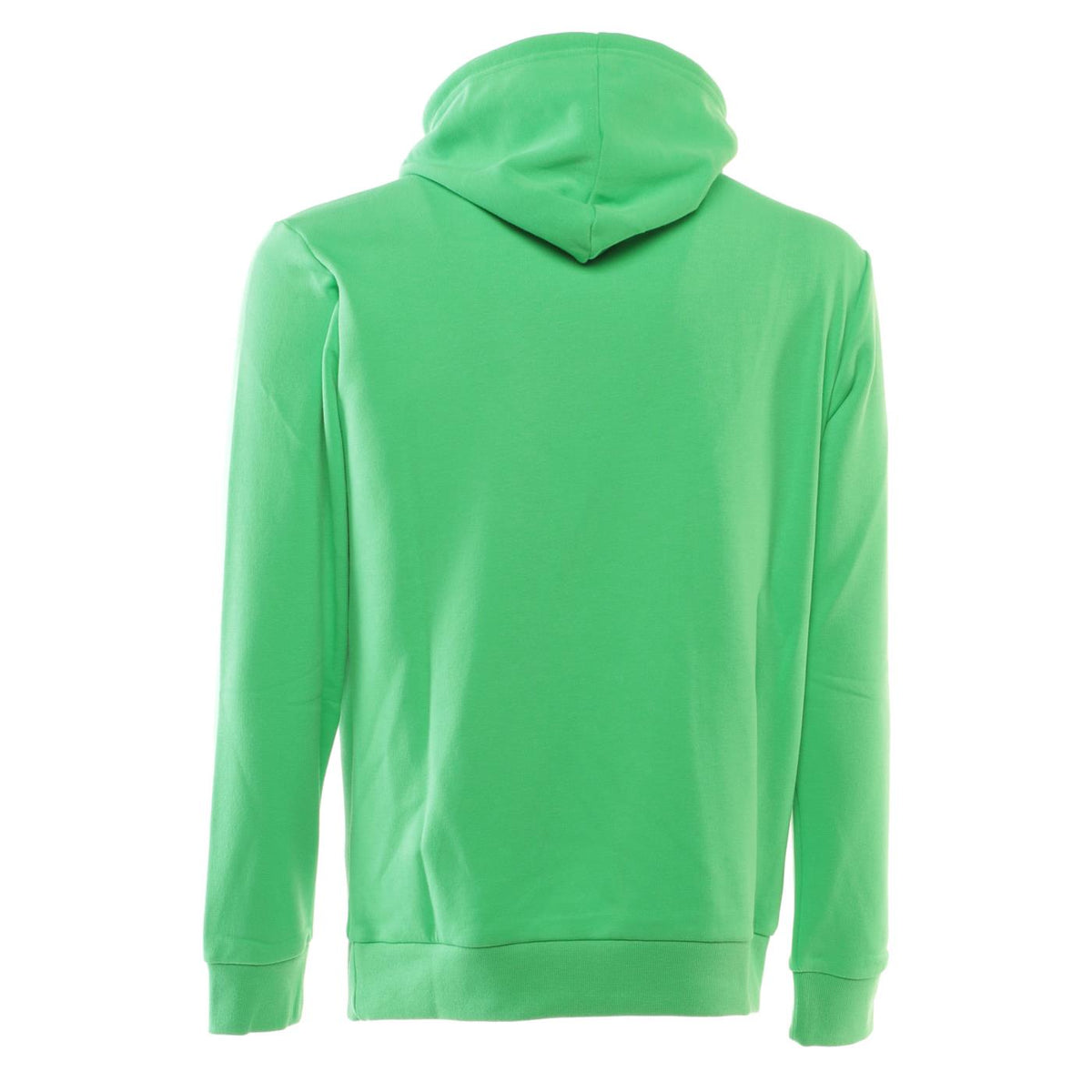 CHAMPION HOODED SWEATSHIRT - Verde - vista 5