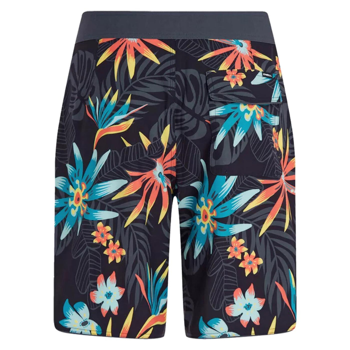 O'NEILL HYPERFREAK MYSTO SCALLOP