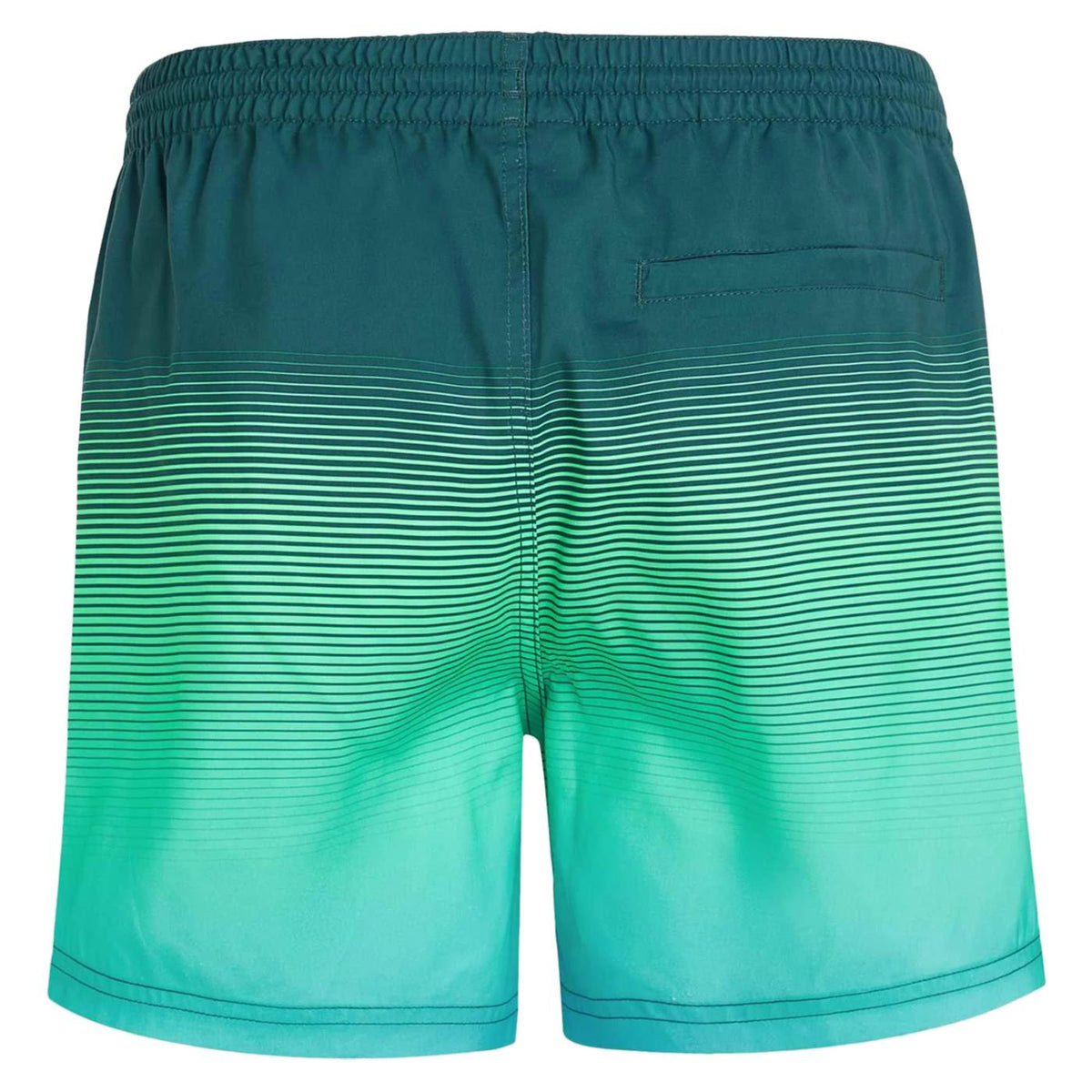 O'NEILL CALI GRADIENT SWIM SHORT