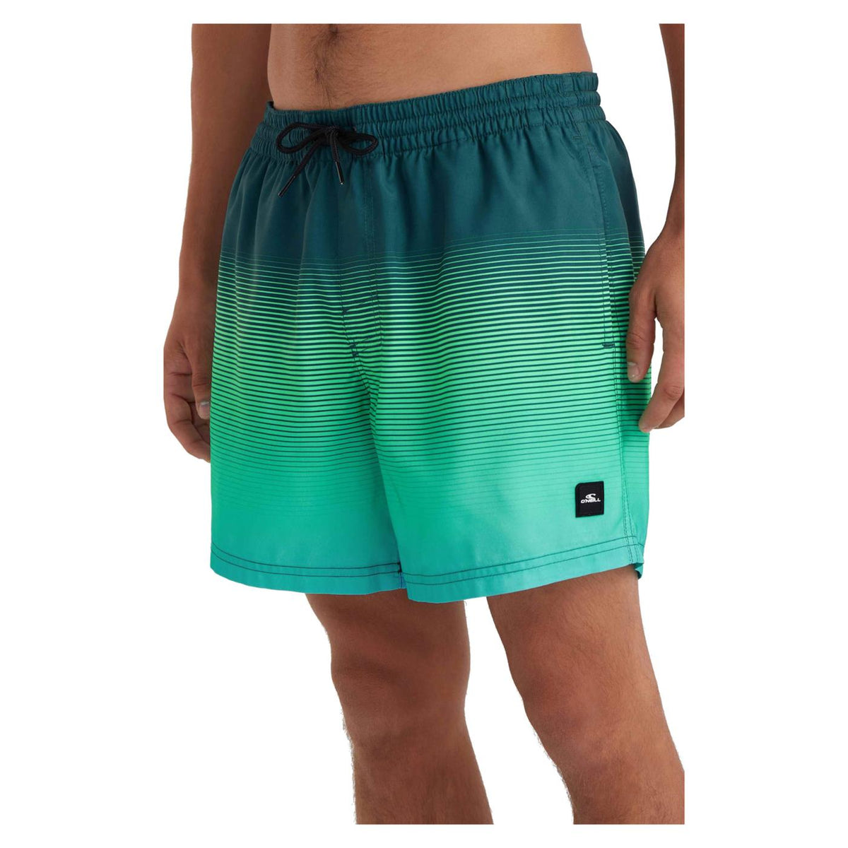 O'NEILL CALI GRADIENT SWIM SHORT