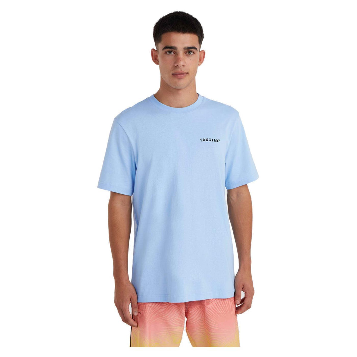 O'NEILL BEACH GRAPHIC T-SHIRT
