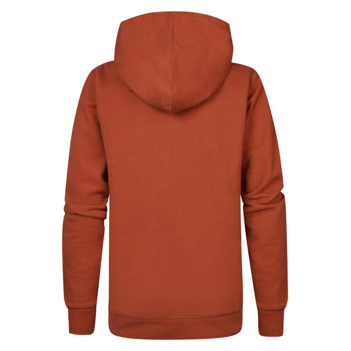 PETROL BOYS SWEATER HOODED PRINT - seconda immagine