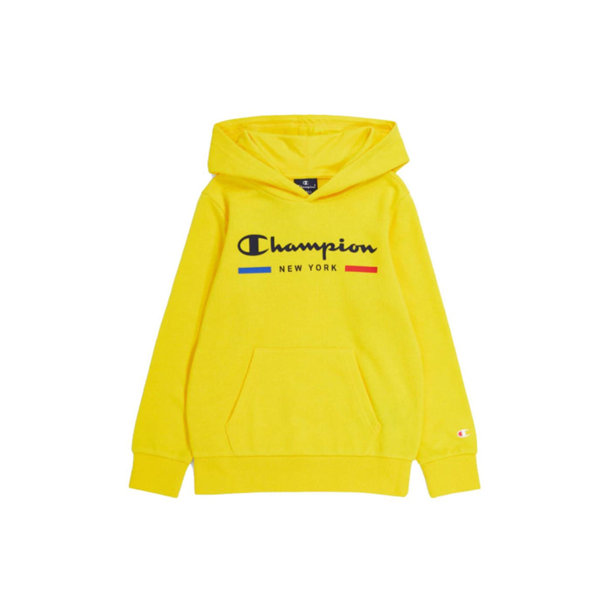 CHAMPION HOODED SWEATSHIRT