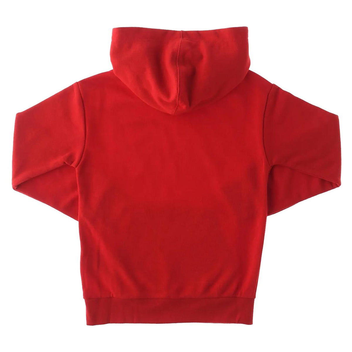CHAMPION HOODED SWEATSHIRT