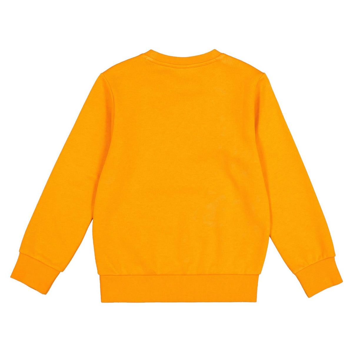 CHAMPION JR CREWNECK SWEATSHIRT - seconda immagine