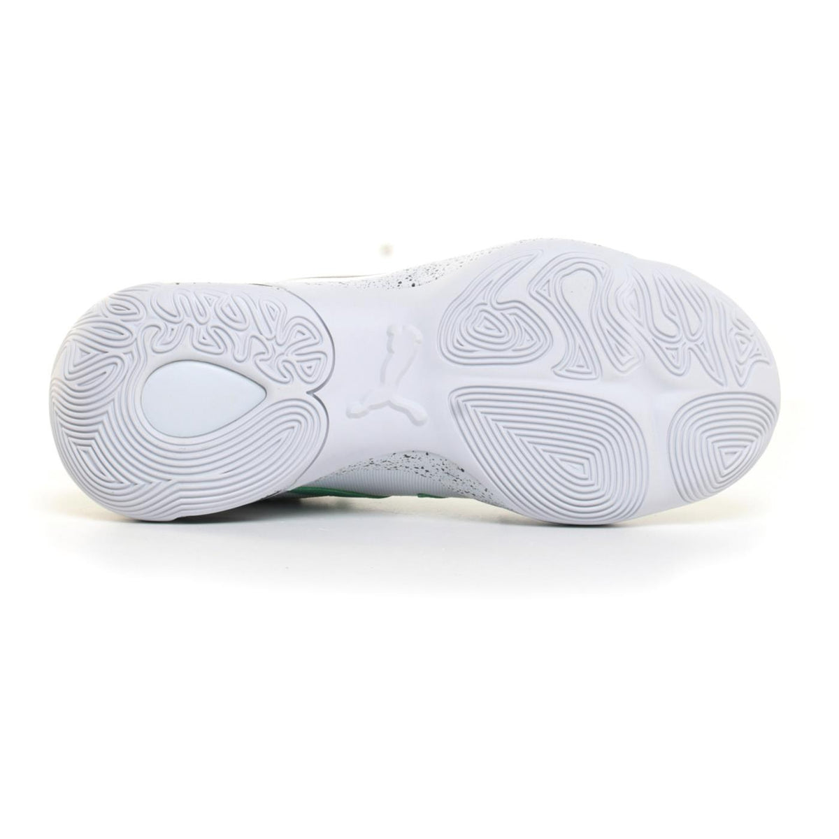 PUMA GENETICS SPECKLE