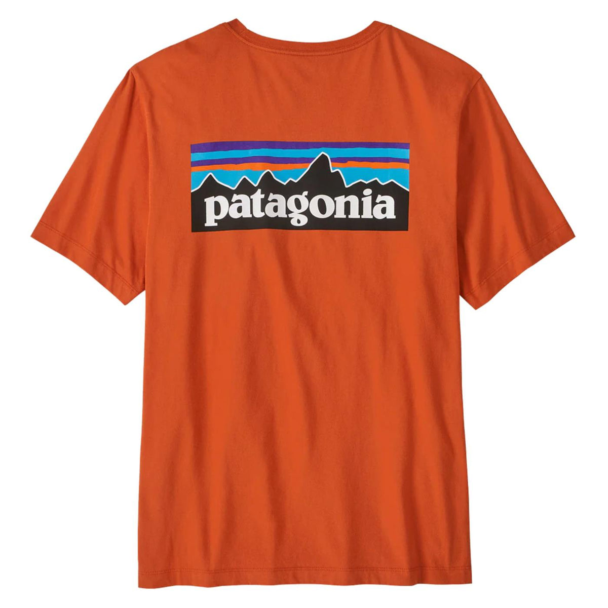 PATAGONIA P-6 LOGO T-SHIRT - seconda immagine