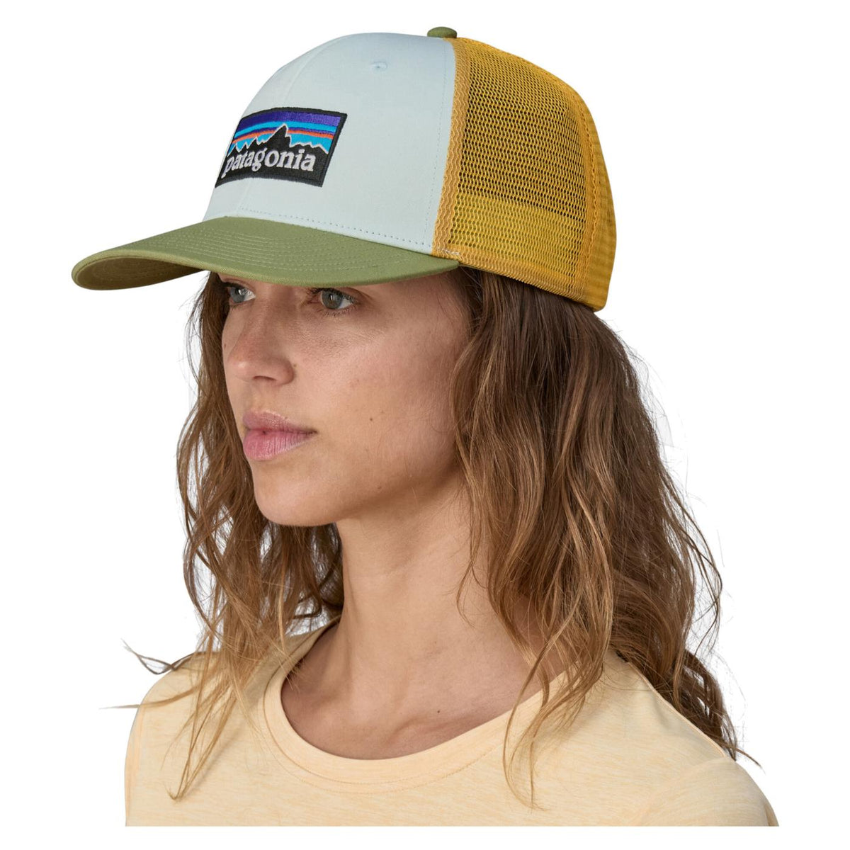 PATAGONIA P-6 LOGO TRUCKER HAT