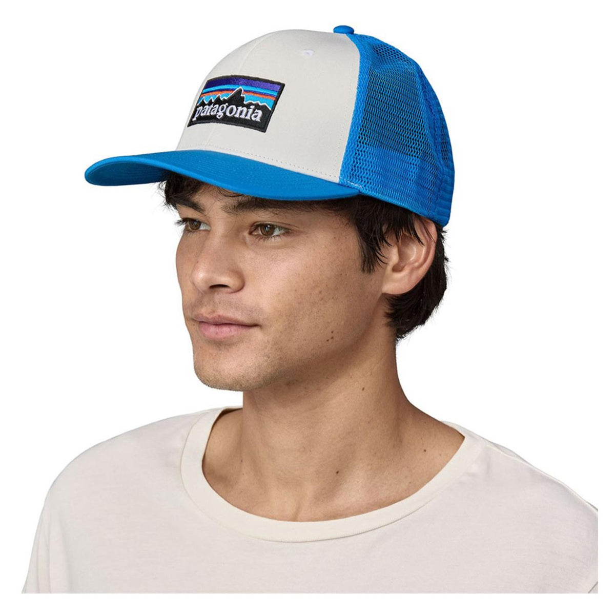 PATAGONIA P-6 LOGO TRUCKER HAT