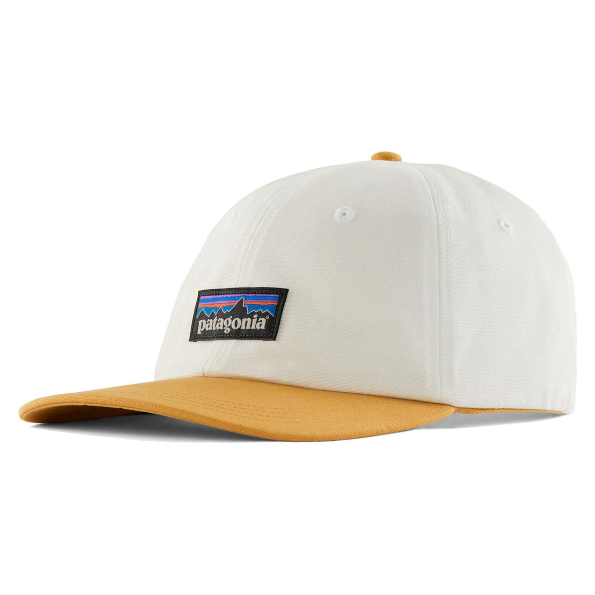 PATAGONIA P-6 LABEL TRAD CAP