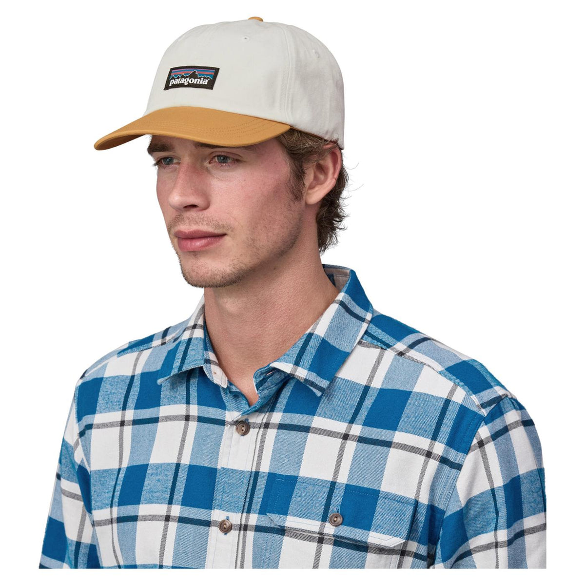PATAGONIA P-6 LABEL TRAD CAP - seconda immagine
