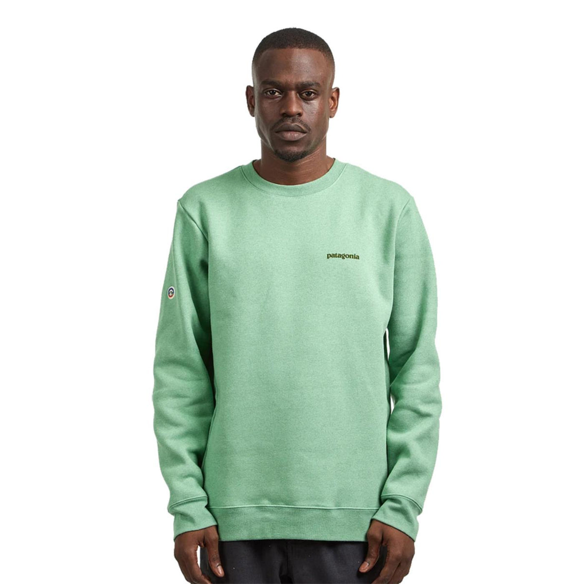 PATAGONIA FITZ ROY UPRISAL CREW - Verde - vista 3