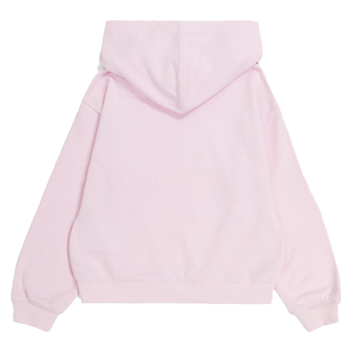 CHAMPION HOODED SWEATSHIRT - seconda immagine