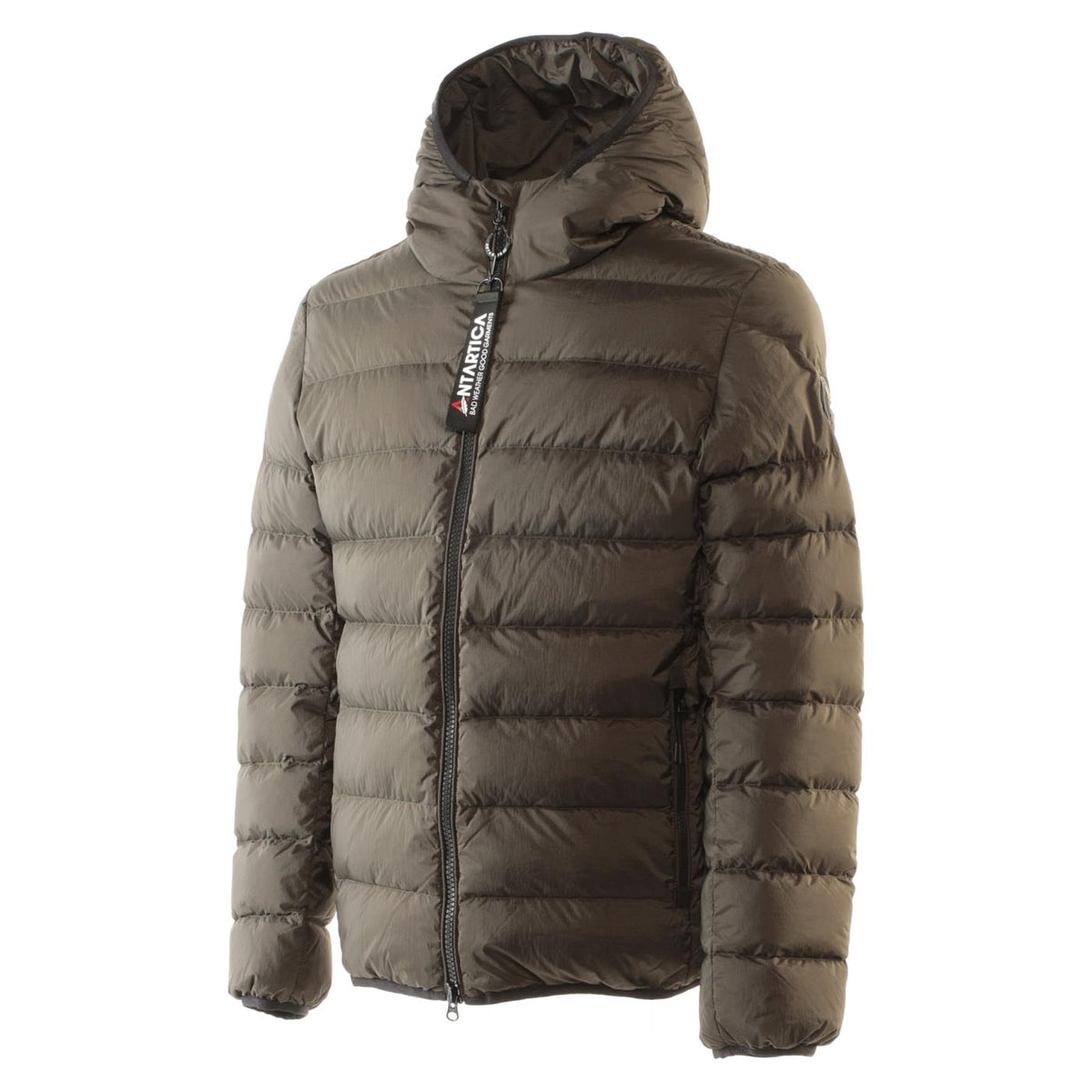 ANTARTICA TARO
