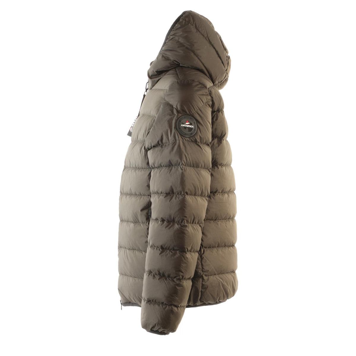 ANTARTICA TARO