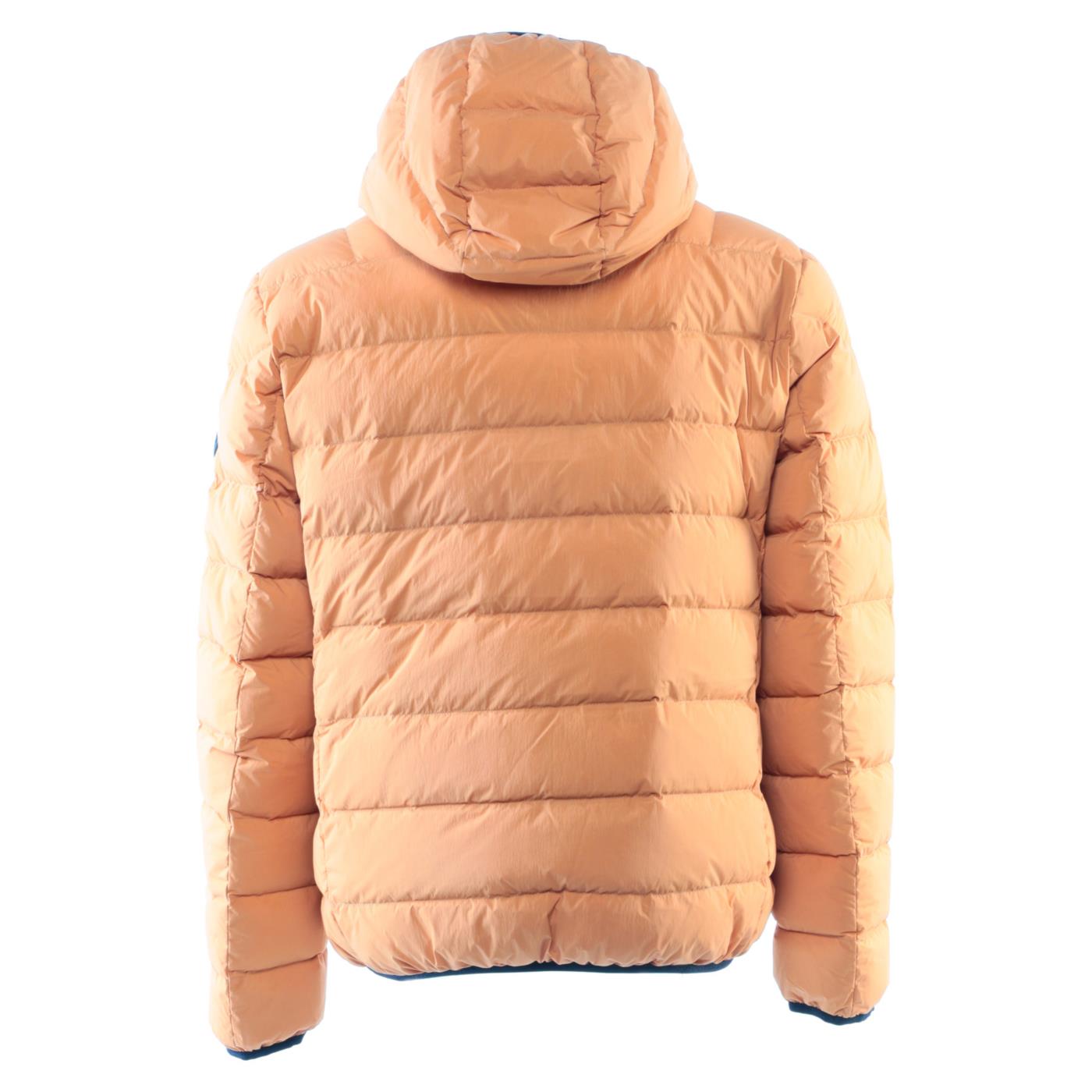 ANTARTICA TARO