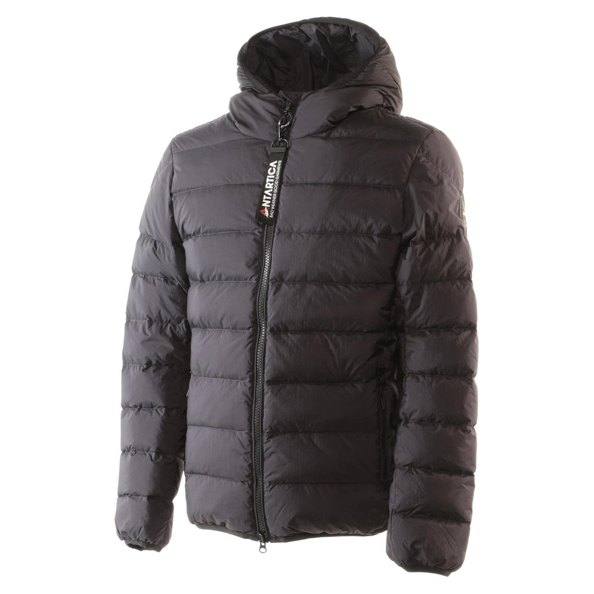 ANTARTICA TARO