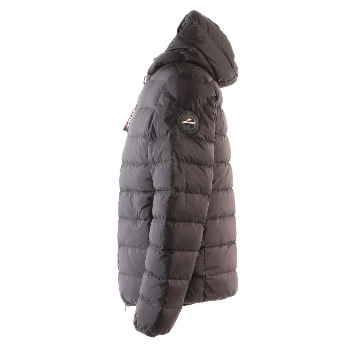 ANTARTICA TARO
