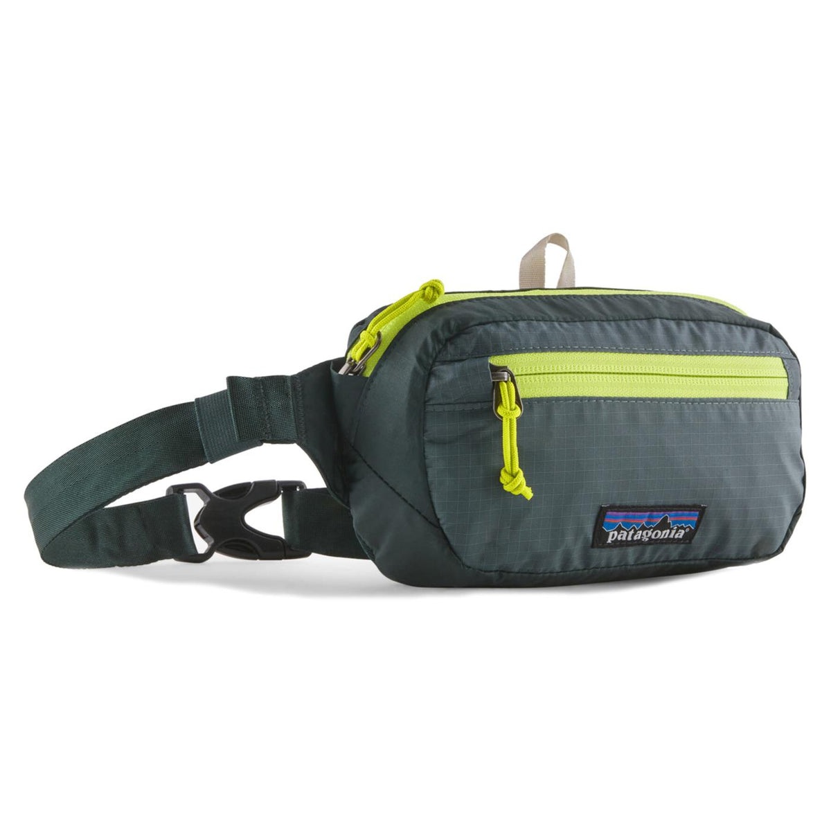 PATAGONIA BLACK HOLE MINI HIP PACK