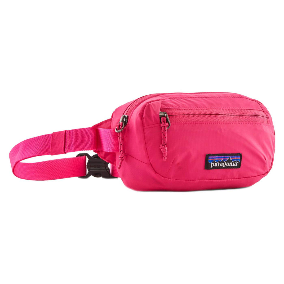 PATAGONIA TERRAVIA MINI HIP PACK