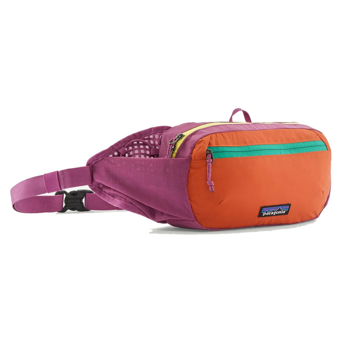 PATAGONIA TERRAVIA MINI HIP PACK