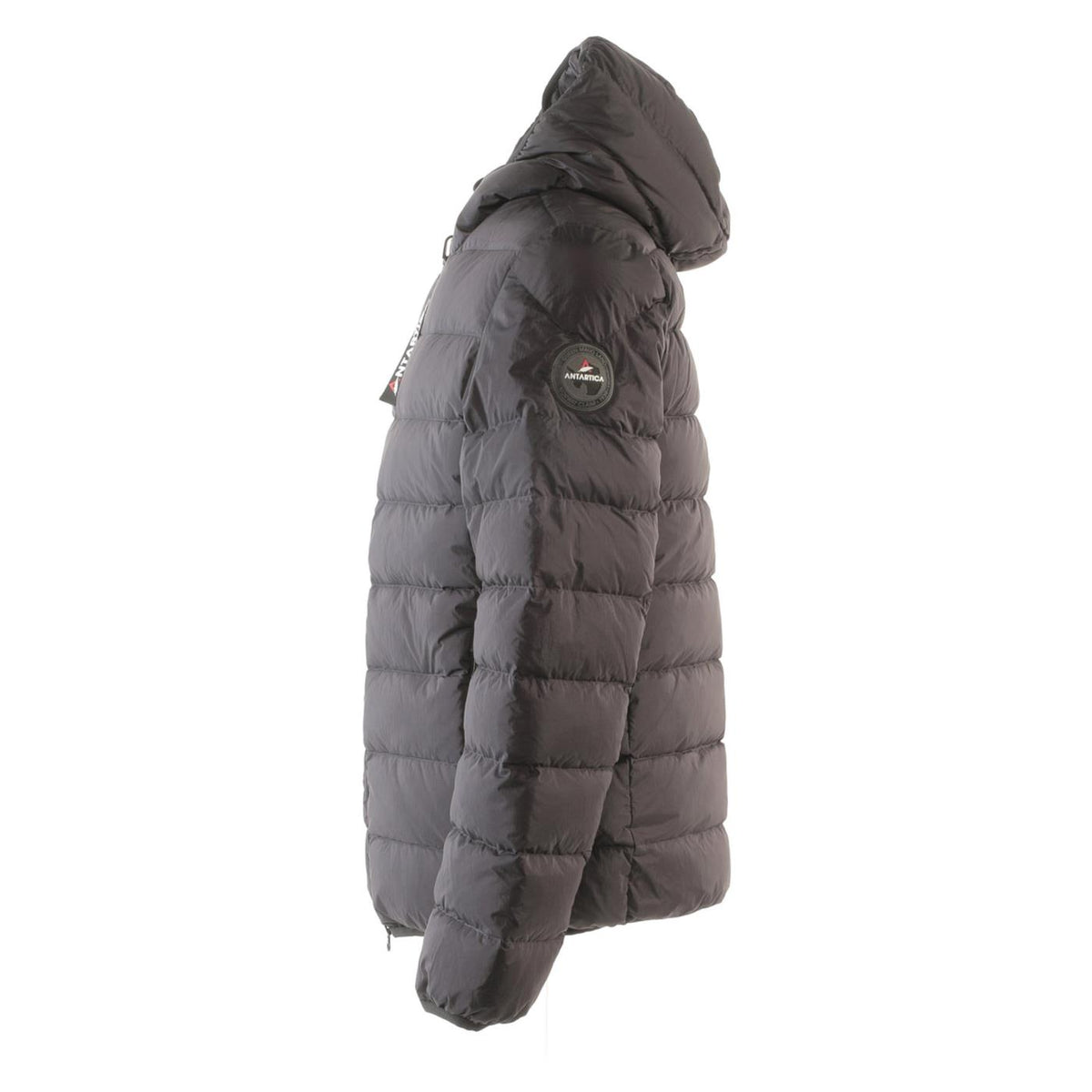 ANTARTICA TARO - Verde militare - vista 4