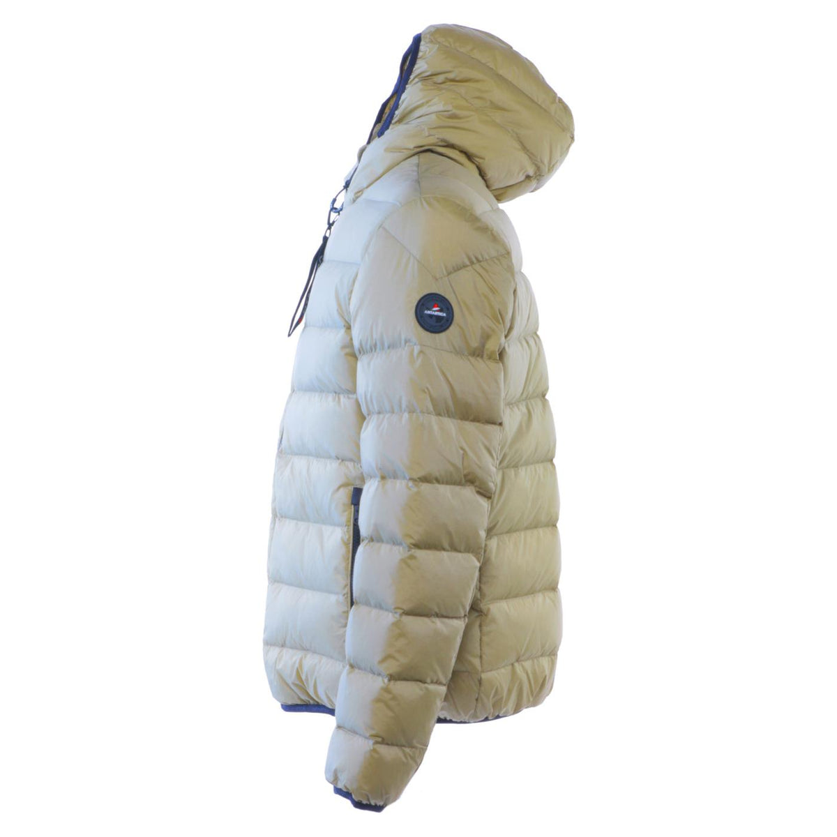ANTARTICA TARO - Verde - vista 4