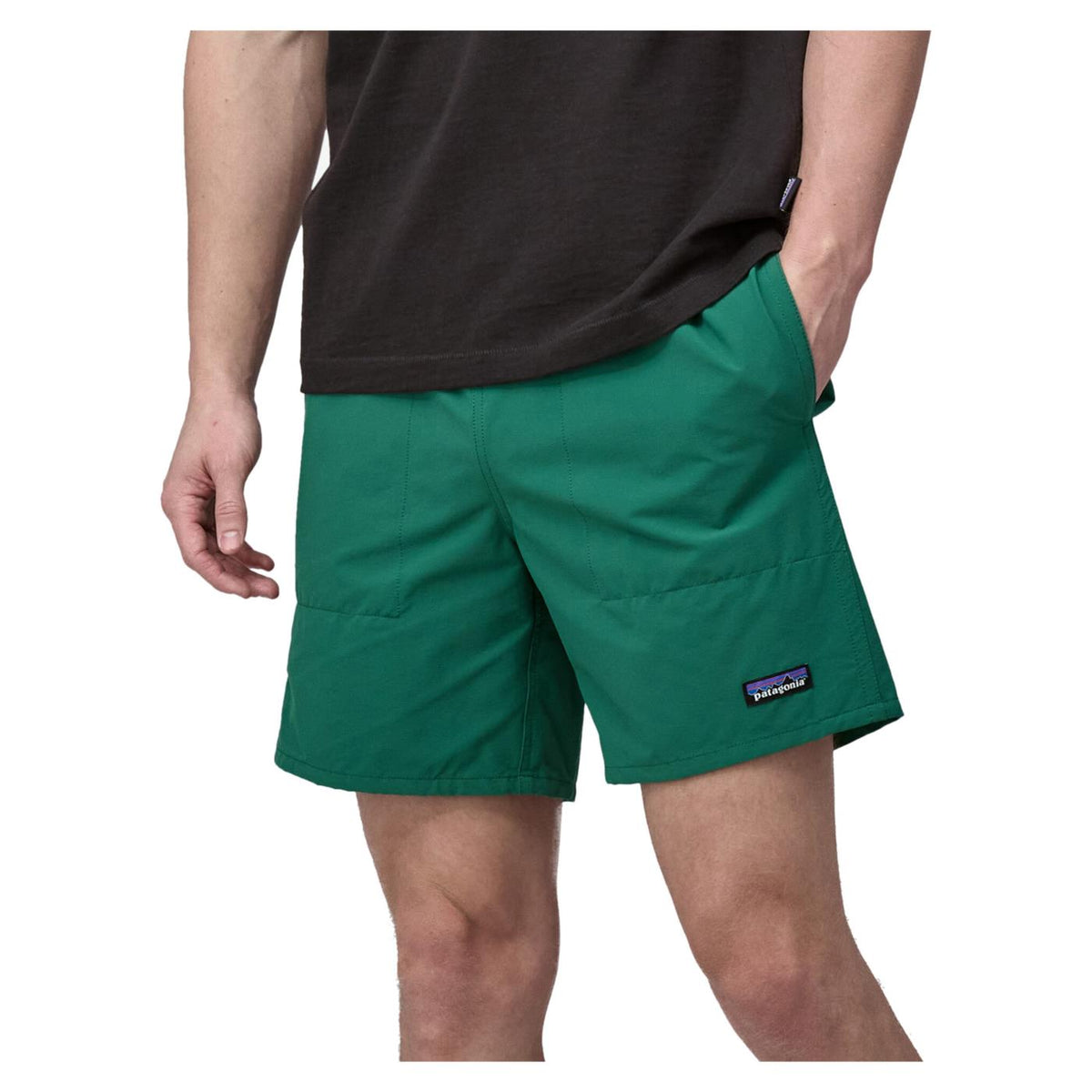 PATAGONIA BAGGIES LIGHTS SHORTS