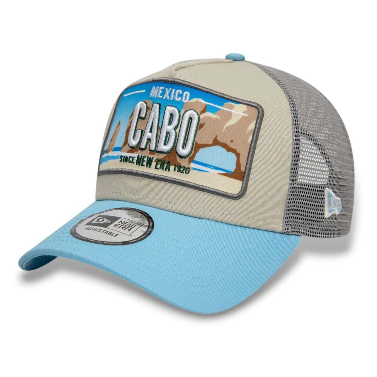 NEW ERA LICENCE PLATE TRUCKER