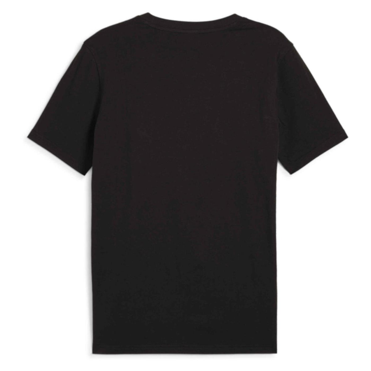 PUMA THE HOOPER TEE 2