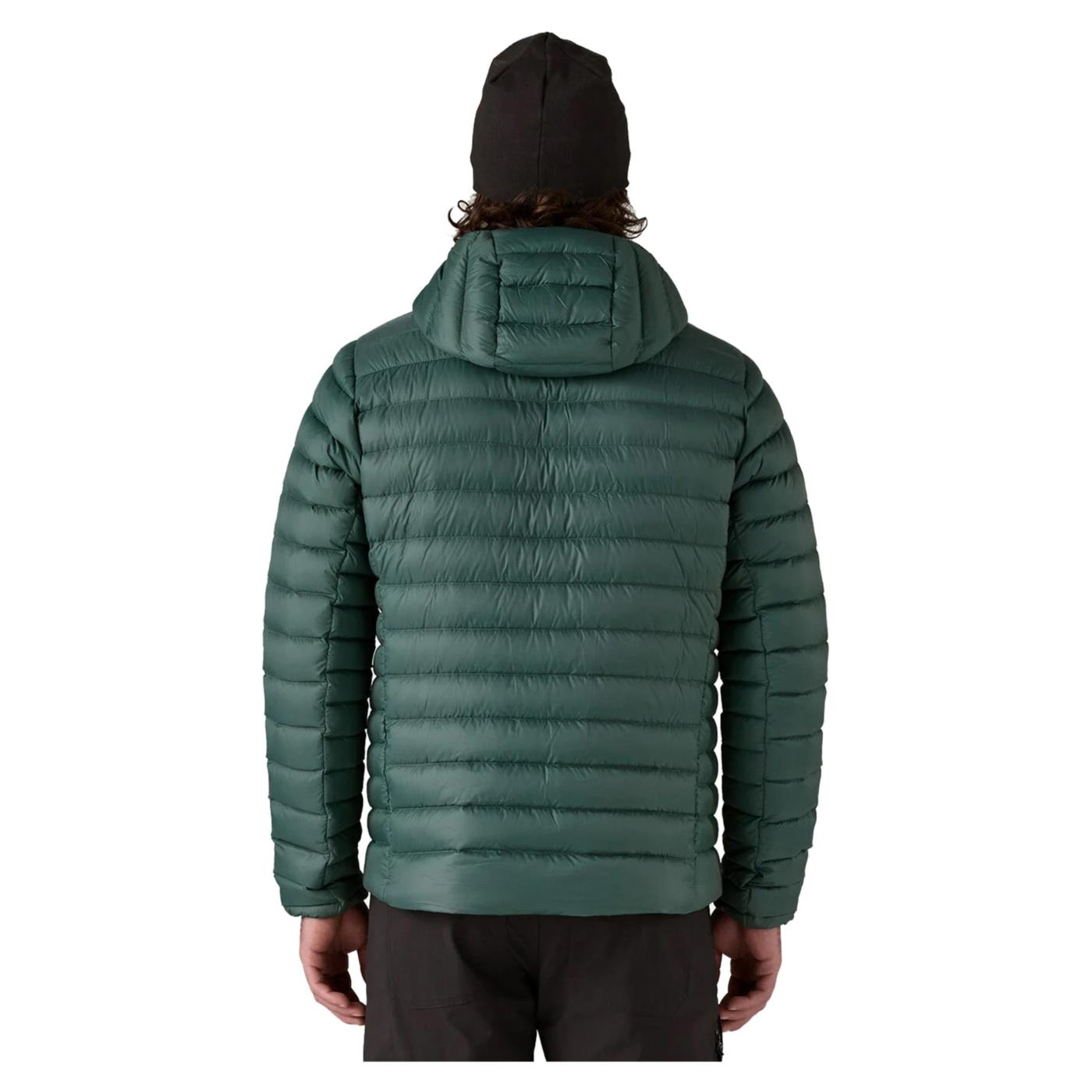 PATAGONIA DOWN SWEATER HOODY - Verde - vista 3