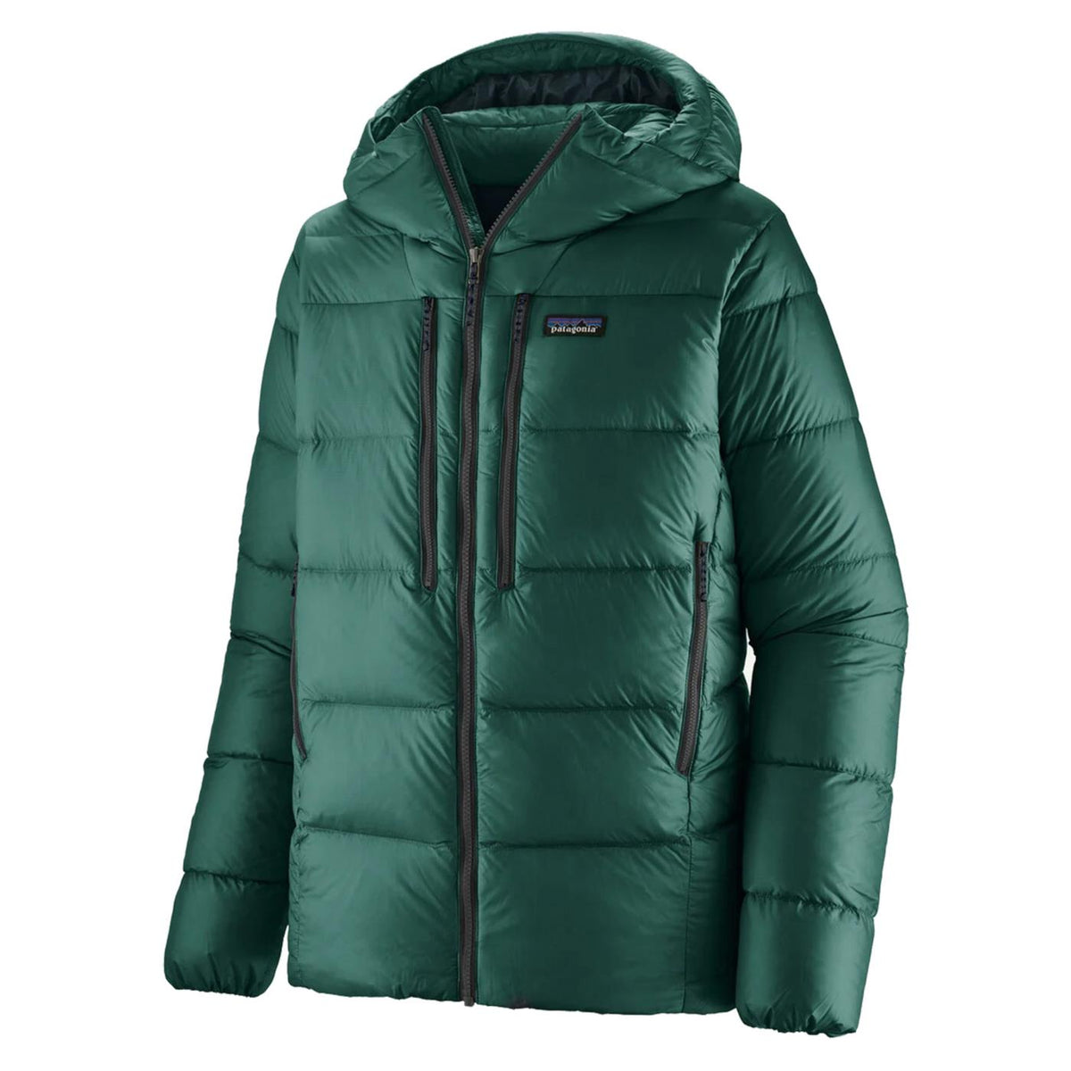 PATAGONIA FITZ ROY DOWN HOODY - Verde - immagine principale
