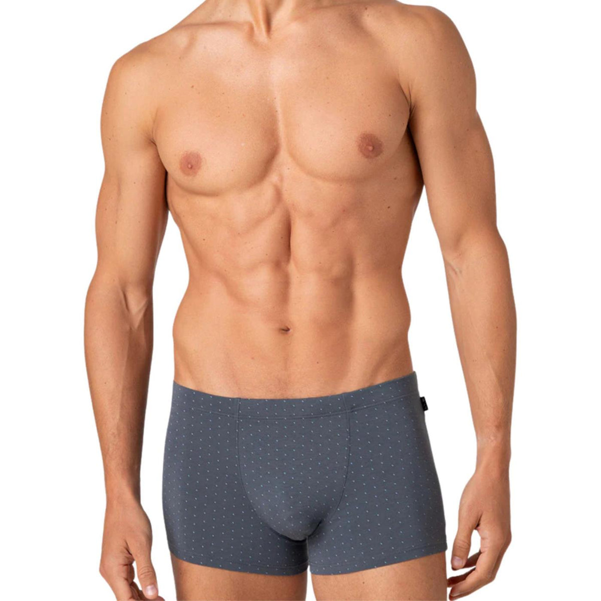 LOVABLE LVB BOXER SHORT PRINTED MODAL - Grigio scuro - vista 3