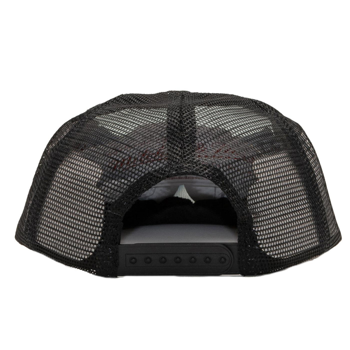 SANTA CRUZ CLASSIC HAND MESH BACK - seconda immagine
