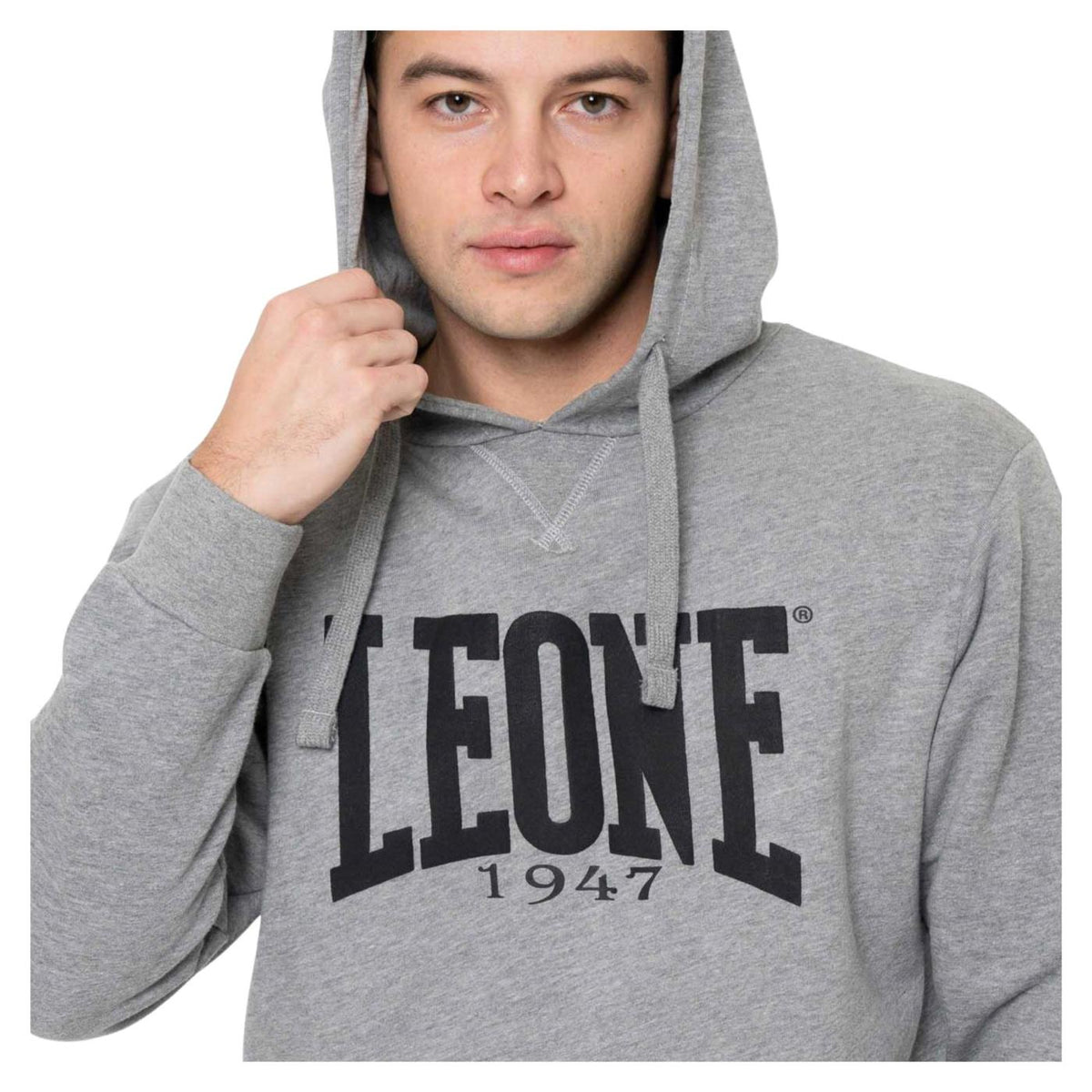 LEONE FELPA HOODY FIGHT ACADEMY - Grigio chiaro - vista 3