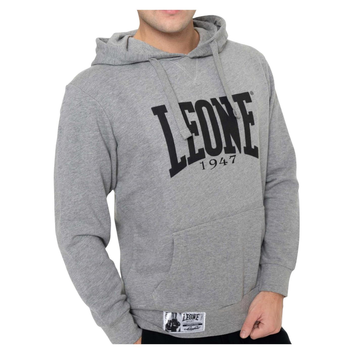 LEONE FELPA HOODY FIGHT ACADEMY - Grigio chiaro - vista 4