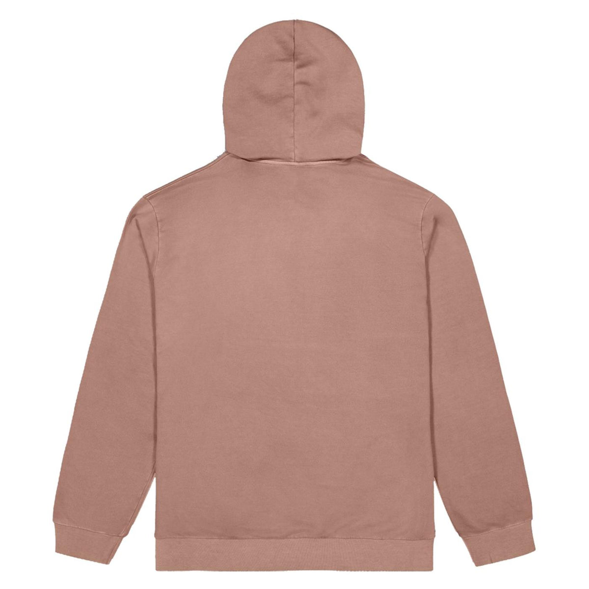 PICTURE BASEMENT LEO HOODIE - seconda immagine
