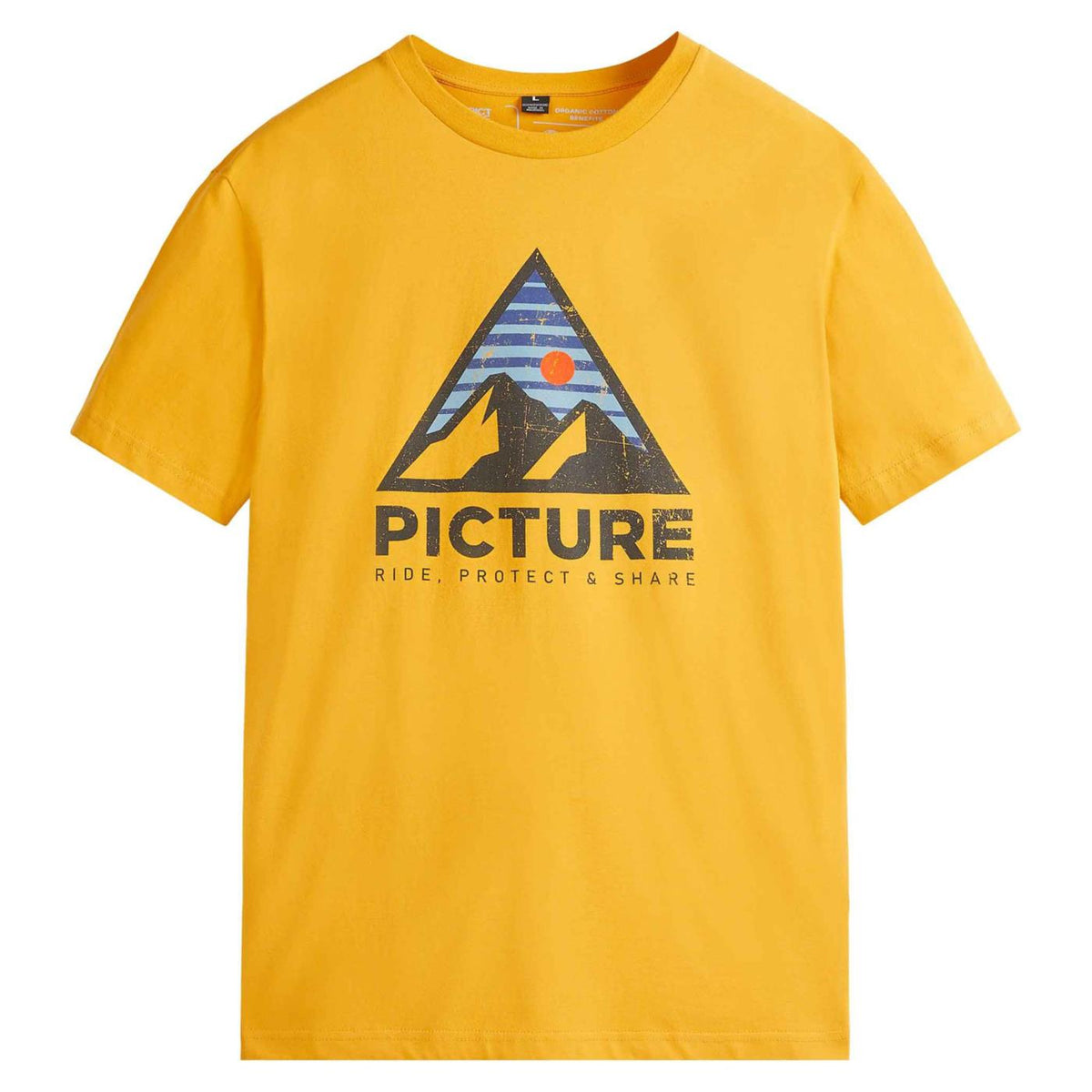 PICTURE AUTHENTIC TEE