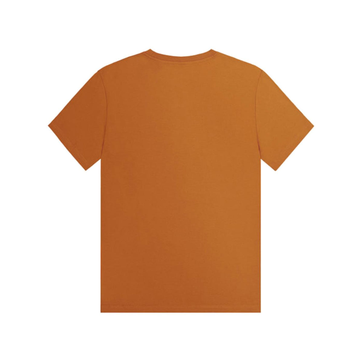 PICTURE CUSTOM VAN TEE - seconda immagine