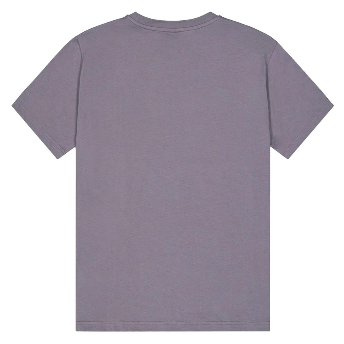 PICTURE BASEMENT ASTER TEE